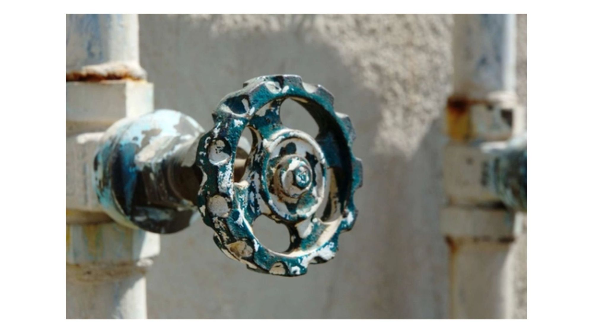 Why is it Necessary to Seek Professional Plumbing Services in Hamilton, ON?
